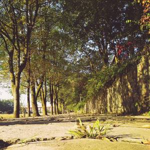 Nujabes-What Do I Need（The Real Young Ray remix）