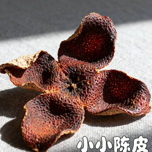 小小陈皮2