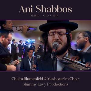 Ani Shabbos (feat. Meshorerim Choir & Shimmy Levy)