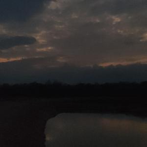 盗将行(cover花粥 马雪阳)