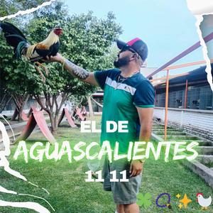 El De Aguascalientes 11 11