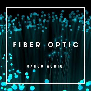 Fiber Optic