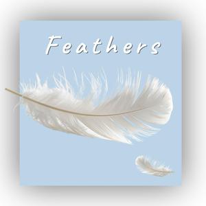 Feathers