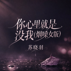 你心里就是没我(烟嗓女版)