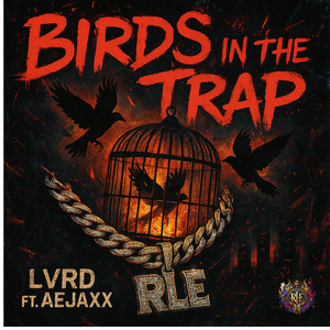 Birds in the Trap