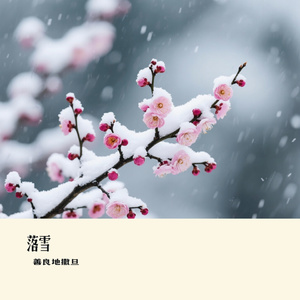 落雪