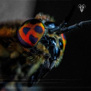 SILKSCREEN (feat. emanuel) (Instrumental)