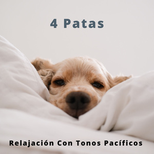 Ruido Pacífico Para Gatos