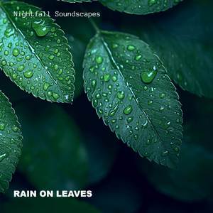 Rain on Leaves