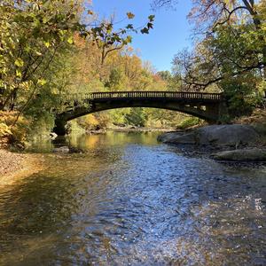 The Symphony of Life