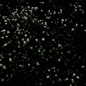 越过/山川河流*