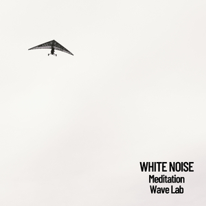 White Noise Laboratory