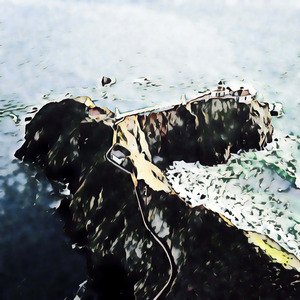 Toty Entries Appointment