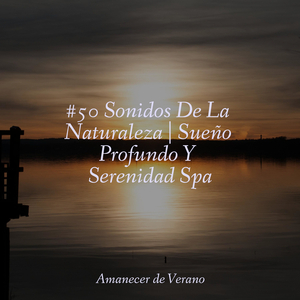 Ondulaciones Luminosas
