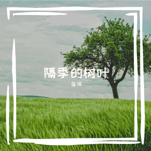 隔季的树叶
