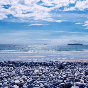 ff377250cc3d67636853035138b02584