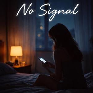 No Signal
