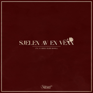 Sjelen av en venn (Til vi sees igjen Mikal)