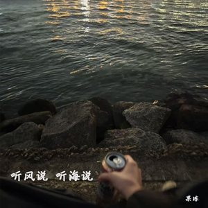听风说 听海说