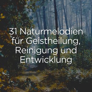 Kollaborative Natur