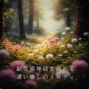 眠りをサポートするリラックスα波BGM 3分で寝落ち 睡眠の質向上