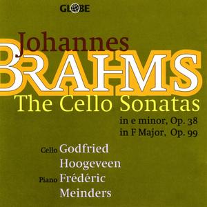 Cello Sonata No. 2 in F Major, Op. 99: IV. Allegro molto