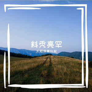 缕掏卣俦匮