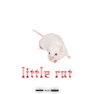 Little Rat