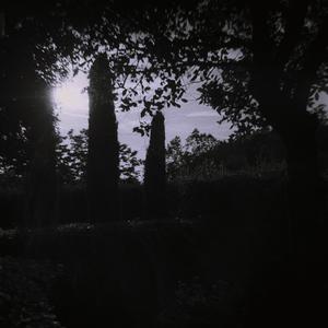 Panorama demo