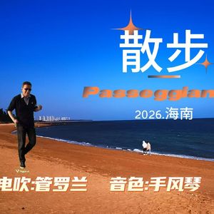 Passeggiando（散步 手风琴）