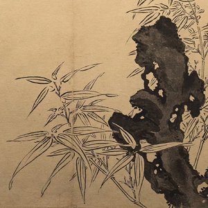 五月七日晴