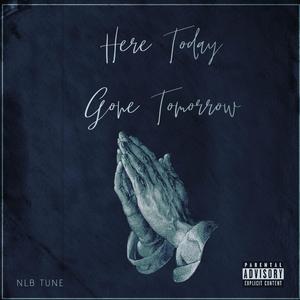 Here Today Gone Tommorrow