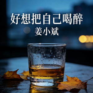 好想把自己喝醉