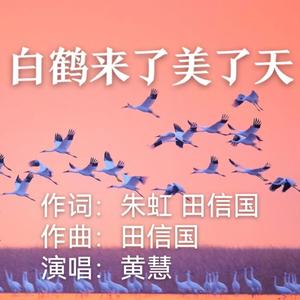 白鹤来了美了天