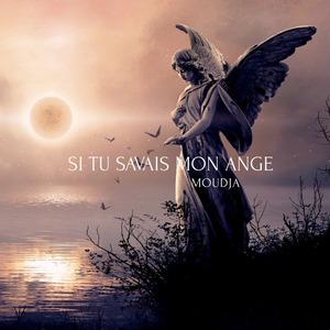 Si tu savais mon Ange