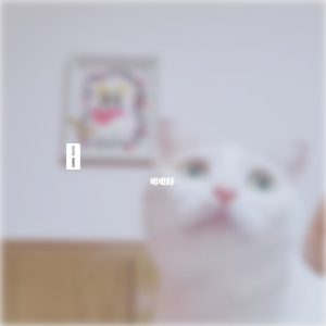 岛屿（翻自 棱镜）