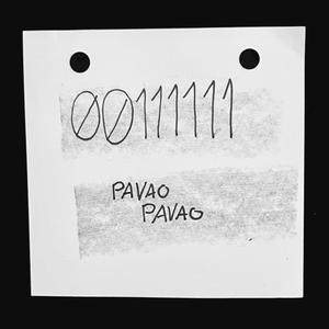 00111111
