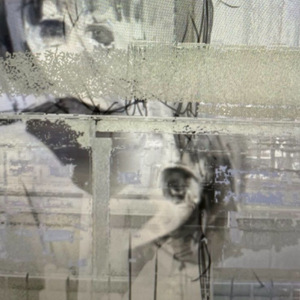 我猜不透我自己