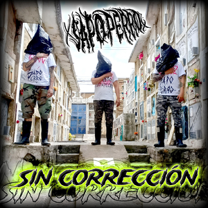 Sin Correccion (En Vivo)