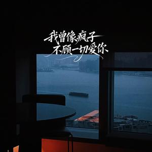 我曾像疯子不顾一切爱你