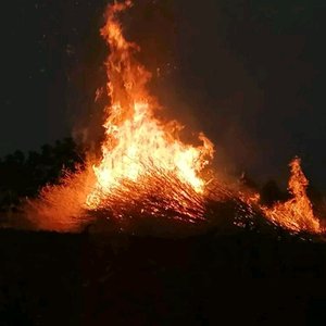 浪漫主义小花歌