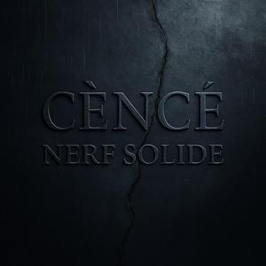 NERF SOLIDE