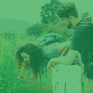 抚慰的餐厅回忆