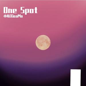One Spot