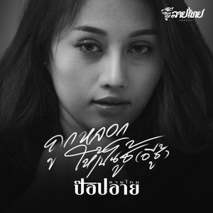 ถูกหลอกให้เป็นชู้ (อีชู้)