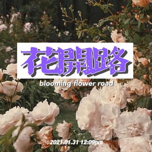 花开路(Blooming flower road)