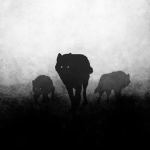 动物大王听完这个beat后写下了狼王梦！|Drill jersey club+kkluv type