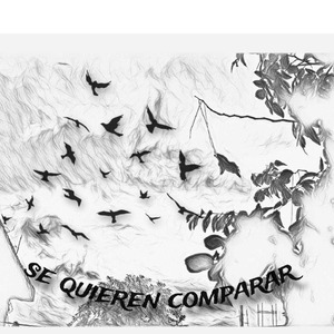 Se Quieren Comparar
