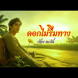 ดอกไม้ริมทาง(Roadside flowers)