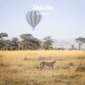 Shikilia